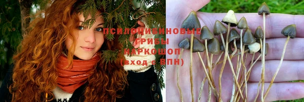 ПСИЛОЦИБИНОВЫЕ ГРИБЫ Верхнеуральск
