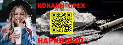 ПСИЛОЦИБИНОВЫЕ ГРИБЫ Камышлов