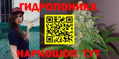 кокс Канаш