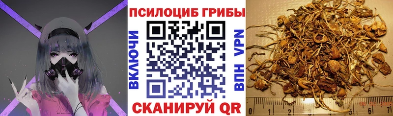 Псилоцибиновые грибы Cubensis  Южно-Сахалинск 